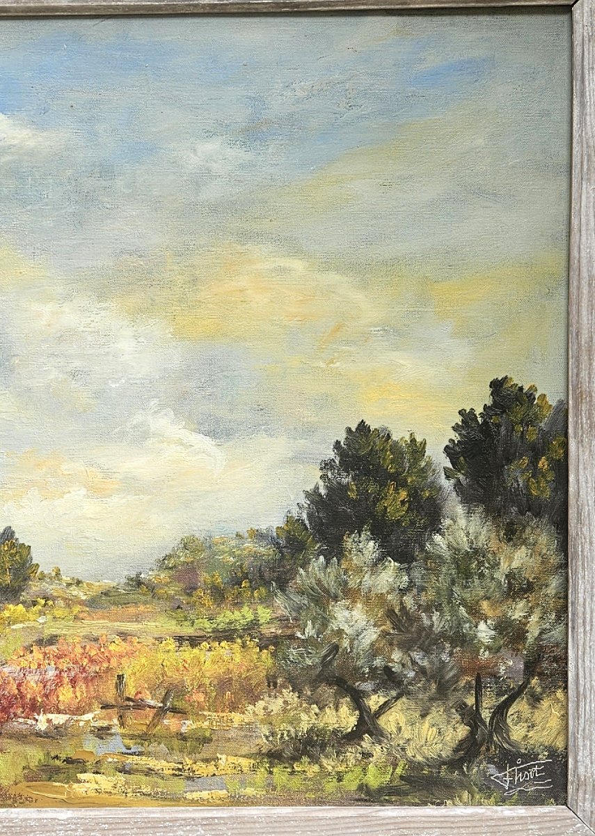 Southern Landscape By Félix Tisot -photo-4