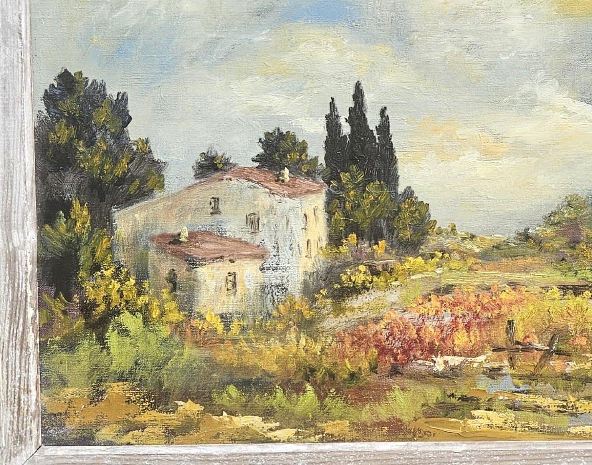 Southern Landscape By Félix Tisot -photo-5