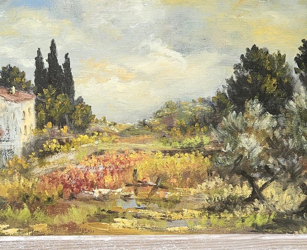 Southern Landscape By Félix Tisot -photo-7