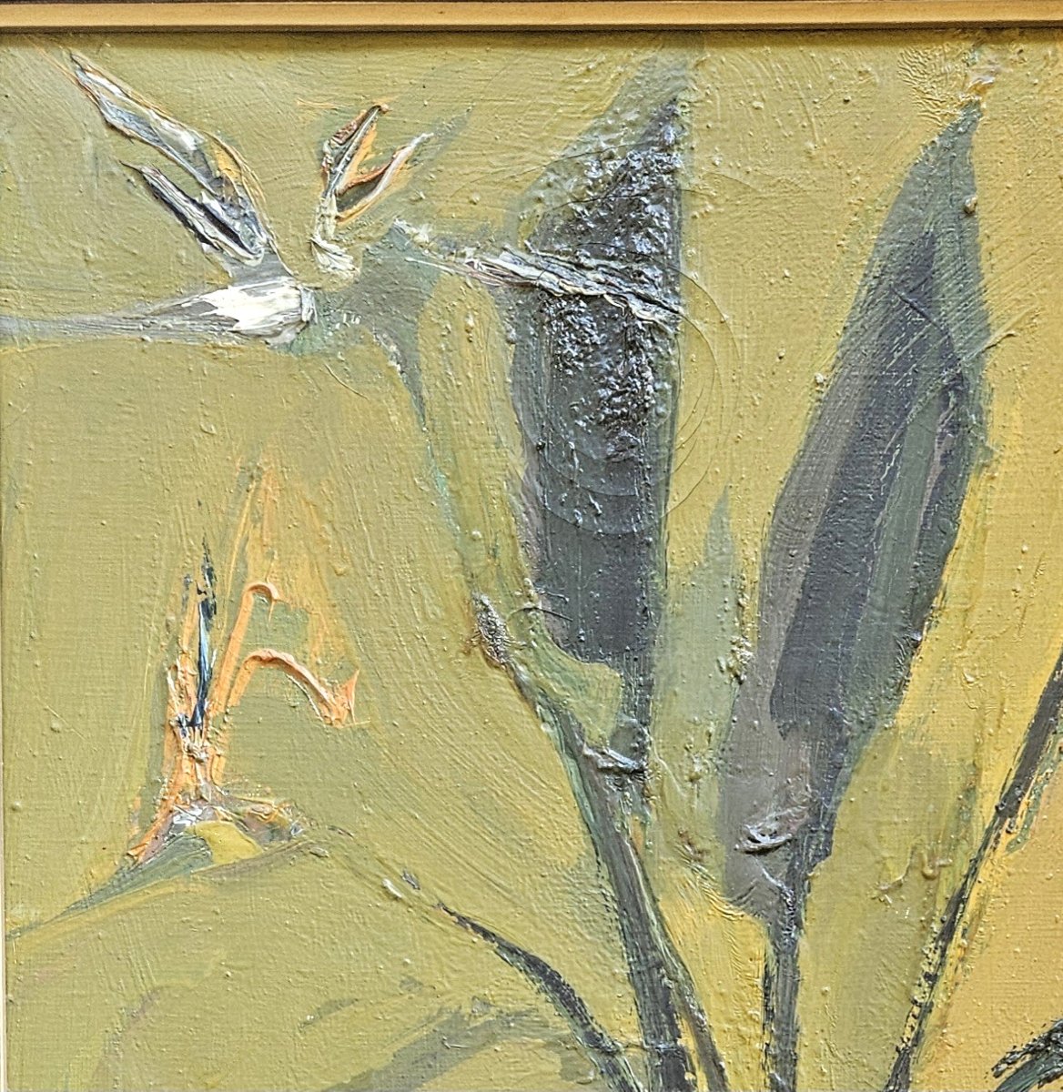 Les oiseaux du paradis par jean Paul  BRUSSET-photo-4