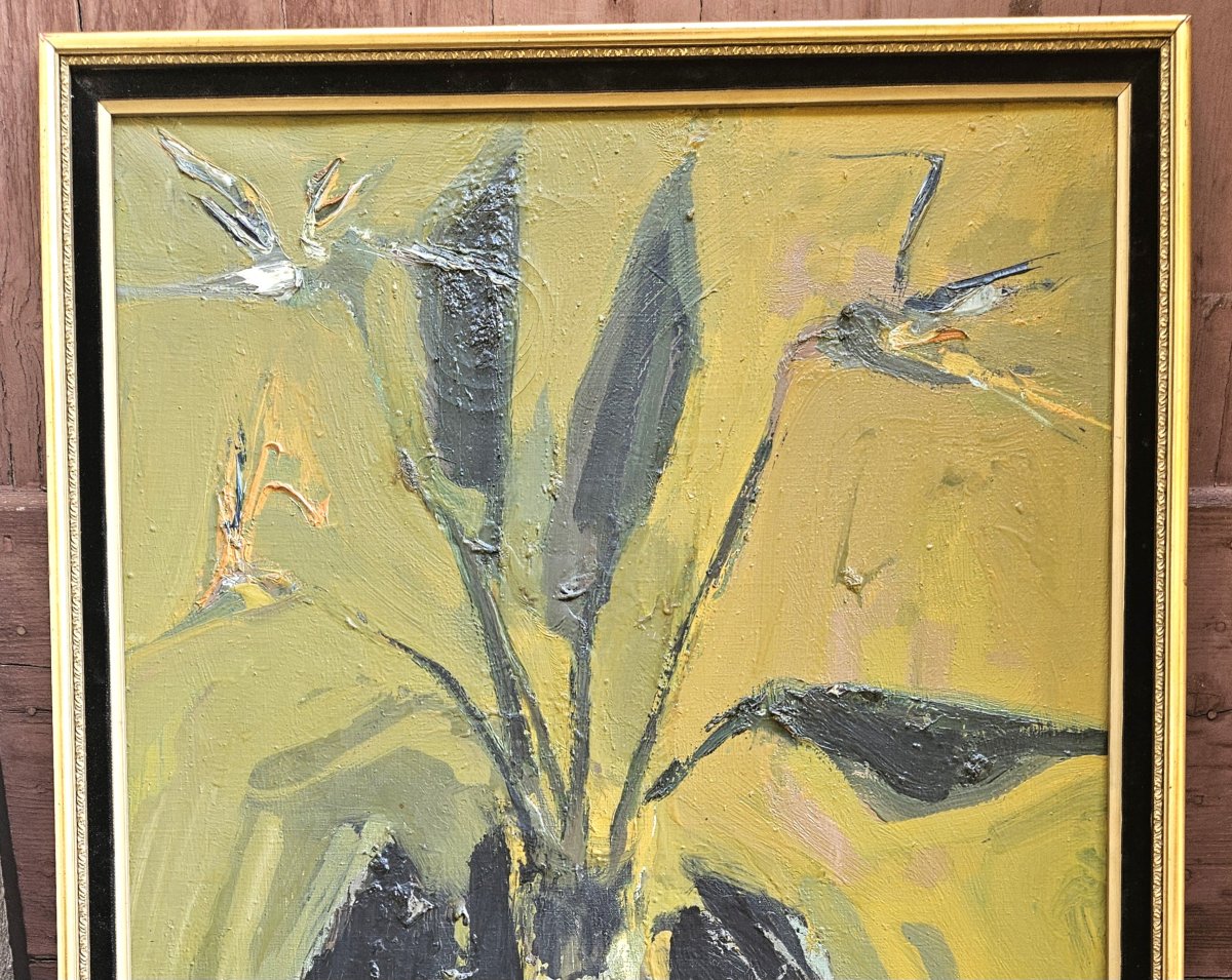 Les oiseaux du paradis par jean Paul  BRUSSET-photo-3