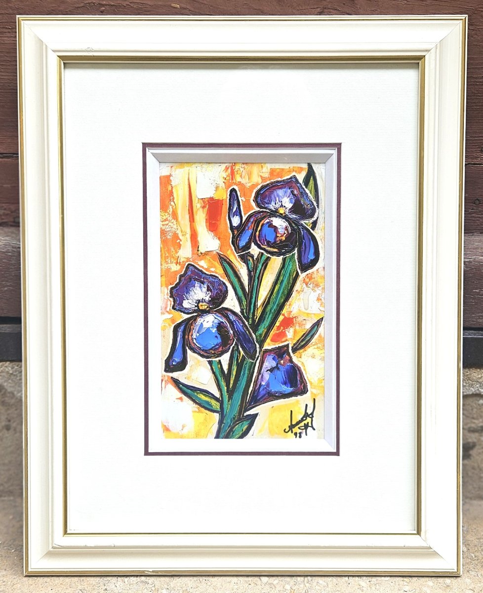 Les Iris par Pierre AMENDOLA-photo-2