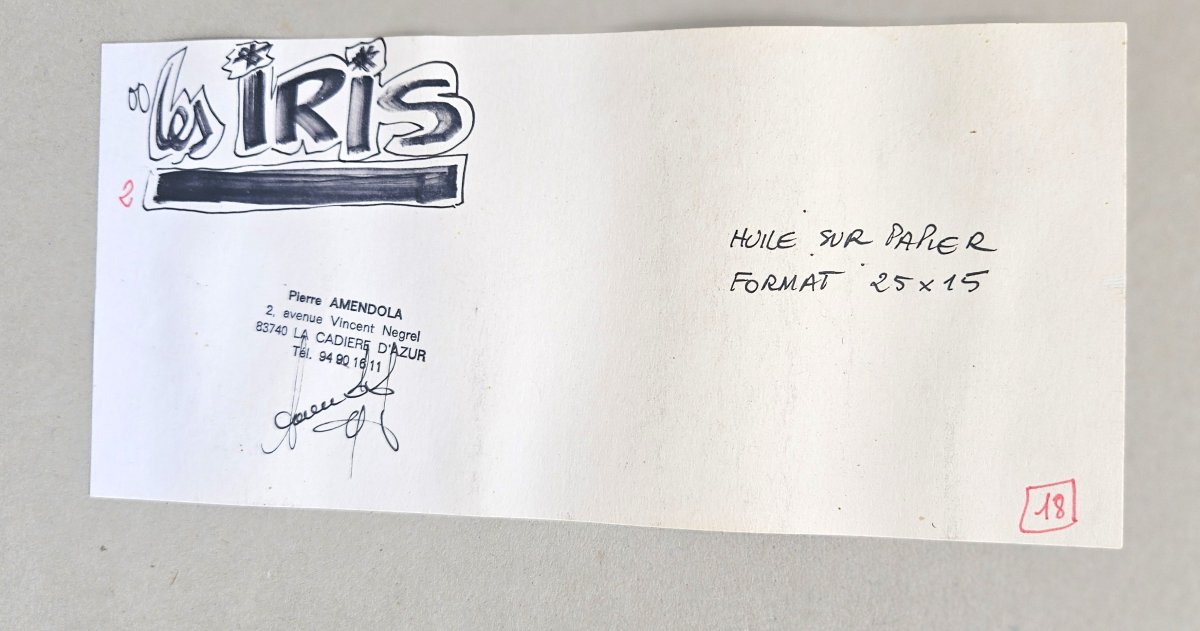 Les Iris par Pierre AMENDOLA-photo-4