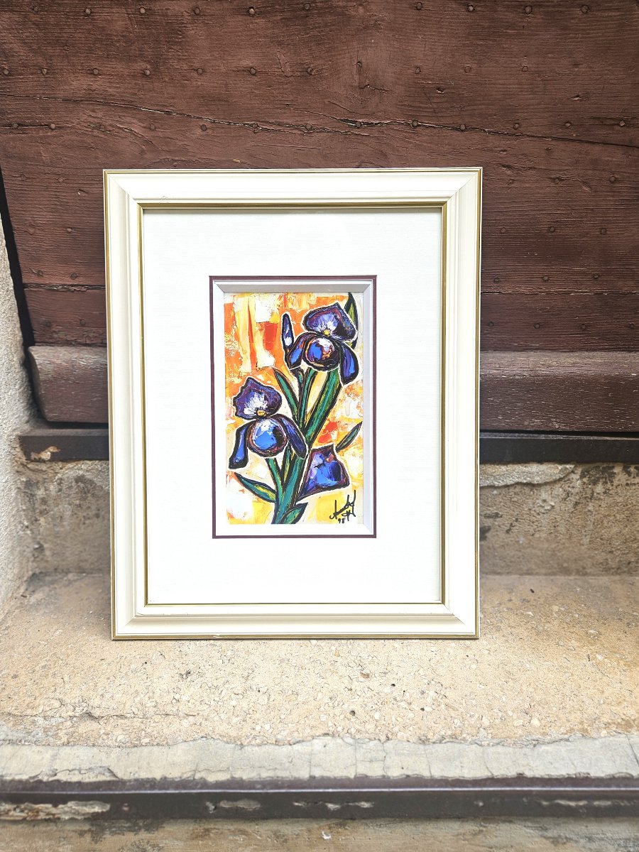 Les Iris par Pierre AMENDOLA-photo-3