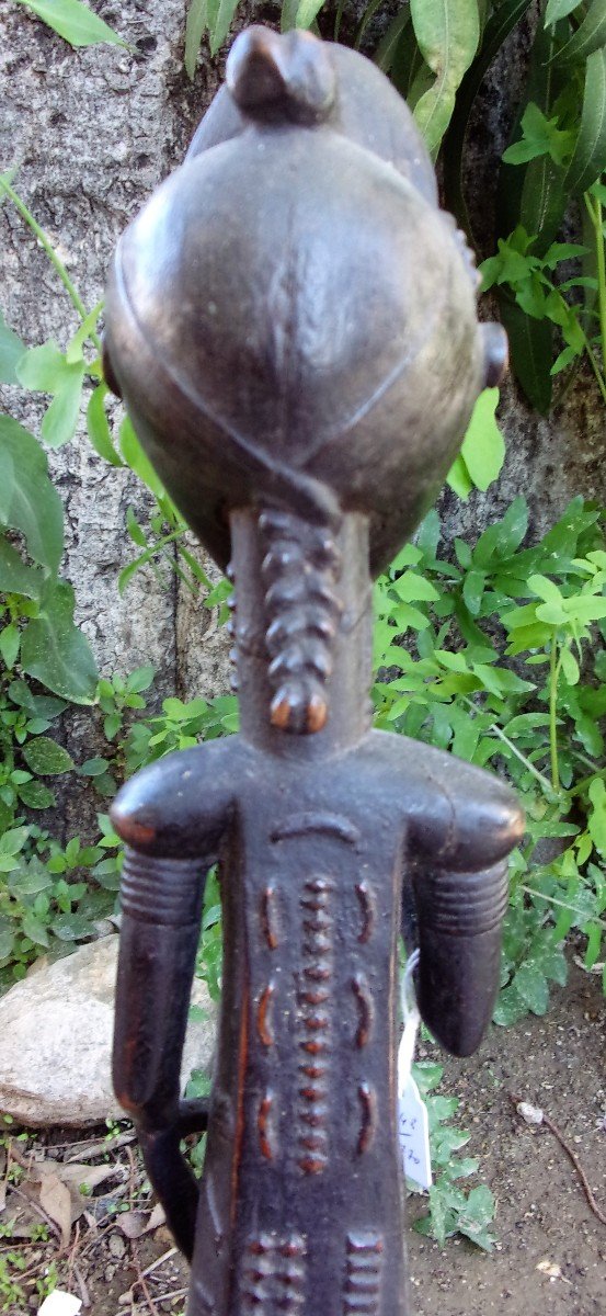 Blolo Bian Baoulé Ivory Coast Former Raoul Lehuard Collection-photo-5