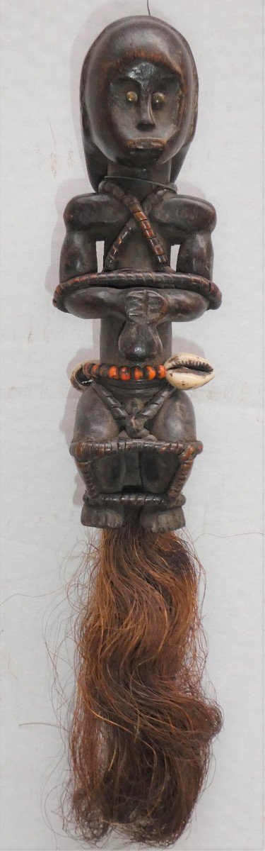 Royal Fang Du Gabon Fly Hunting