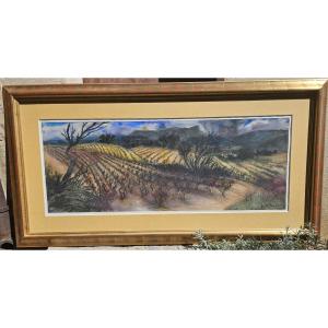 les vignes en Provence par jean Claude IMBERT 1919-1993