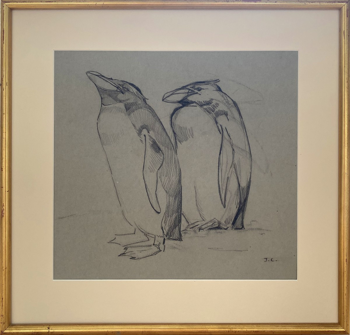 Couple de manchots par Jacques Cartier 
