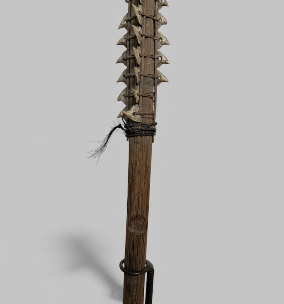 Épée kiribati, Micronésie - Polynésie-photo-2