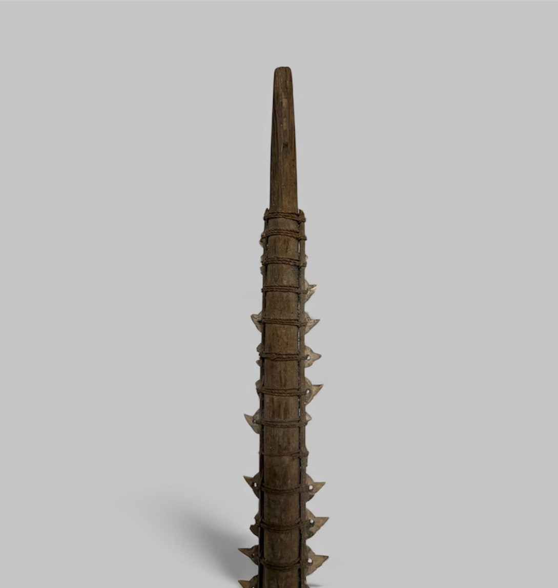 Épée kiribati, Micronésie - Polynésie-photo-1