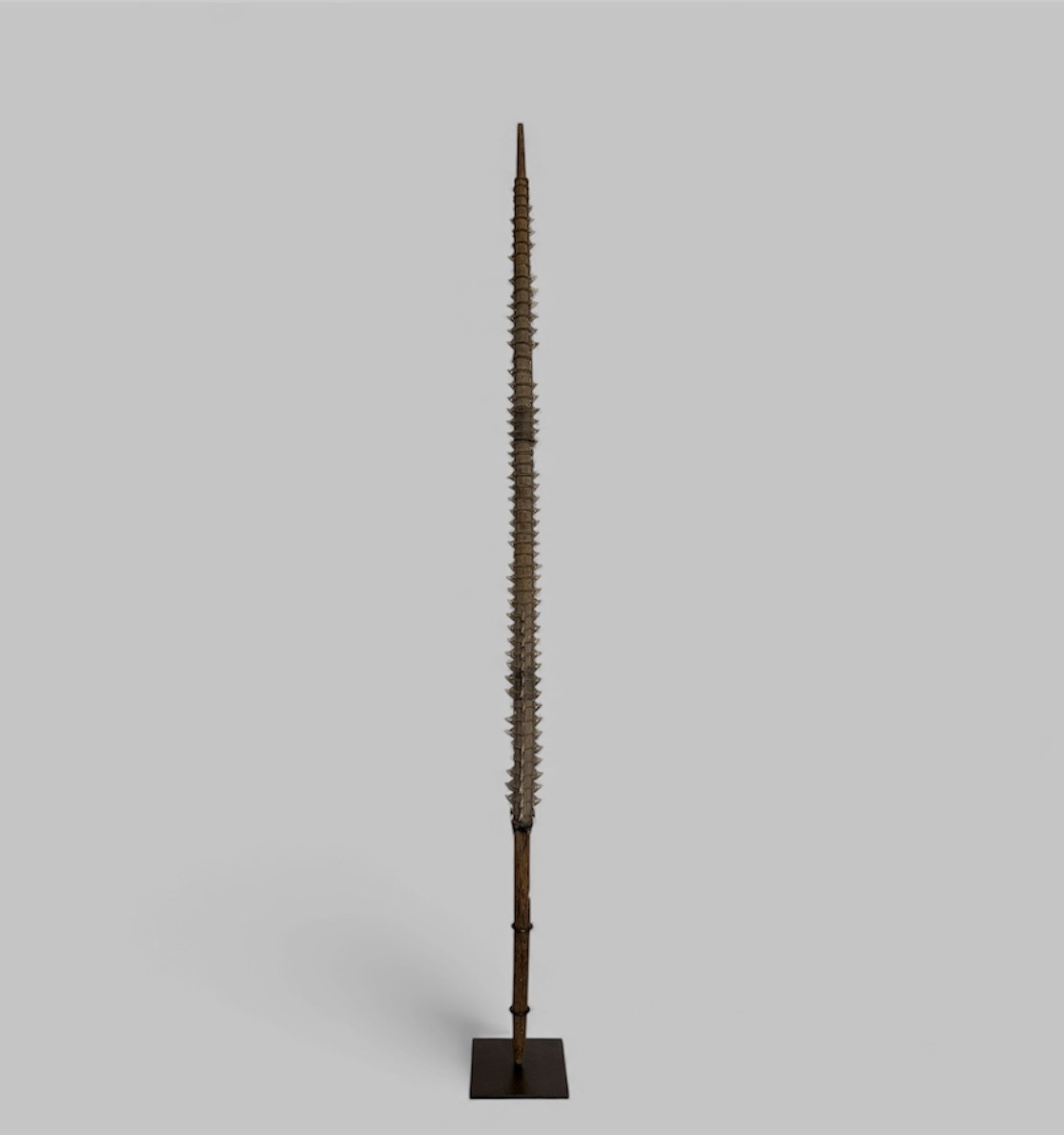 Épée kiribati, Micronésie - Polynésie