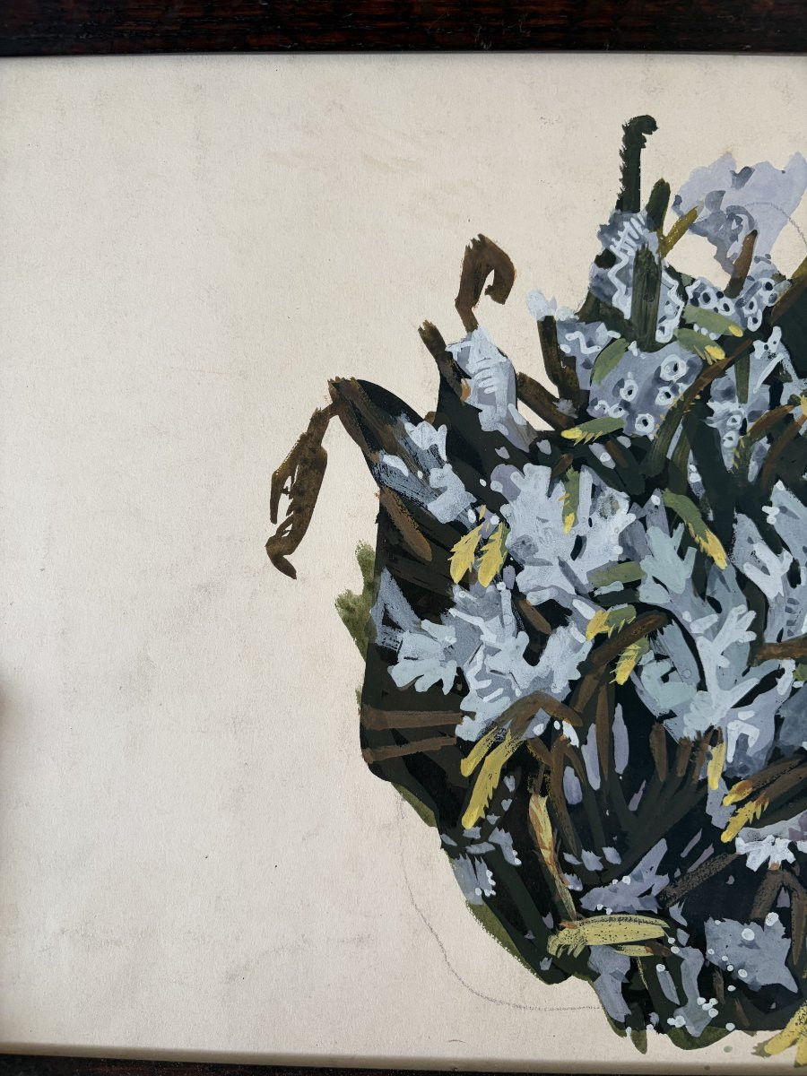 Mathurin Méheut - Composition d’algues-photo-2