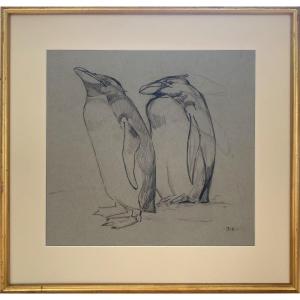 Pair Of Penguins By Jacques Cartier 
