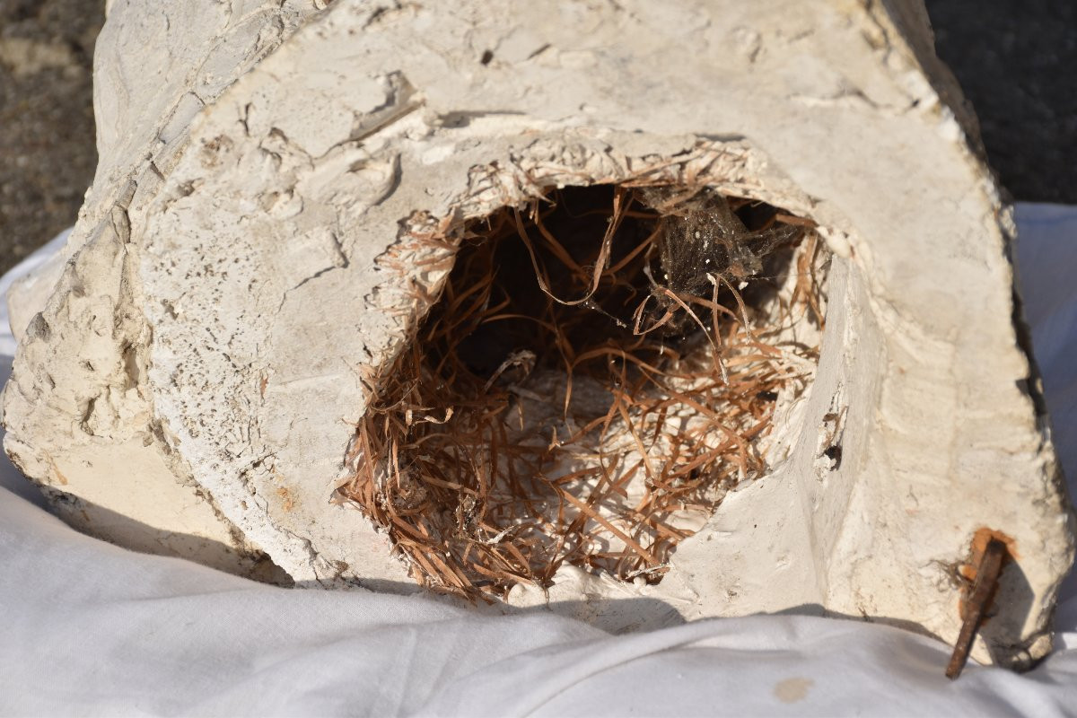 Flaminio BERTONI (Masnago 1903 - Antony 1964), Tête d’homme barbu (1938)-photo-6