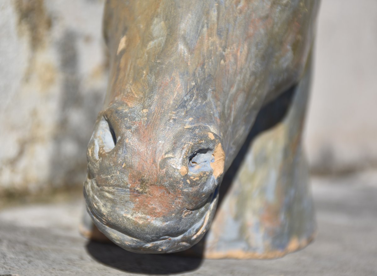 École française, Tête de cheval (vers 1940)-photo-1