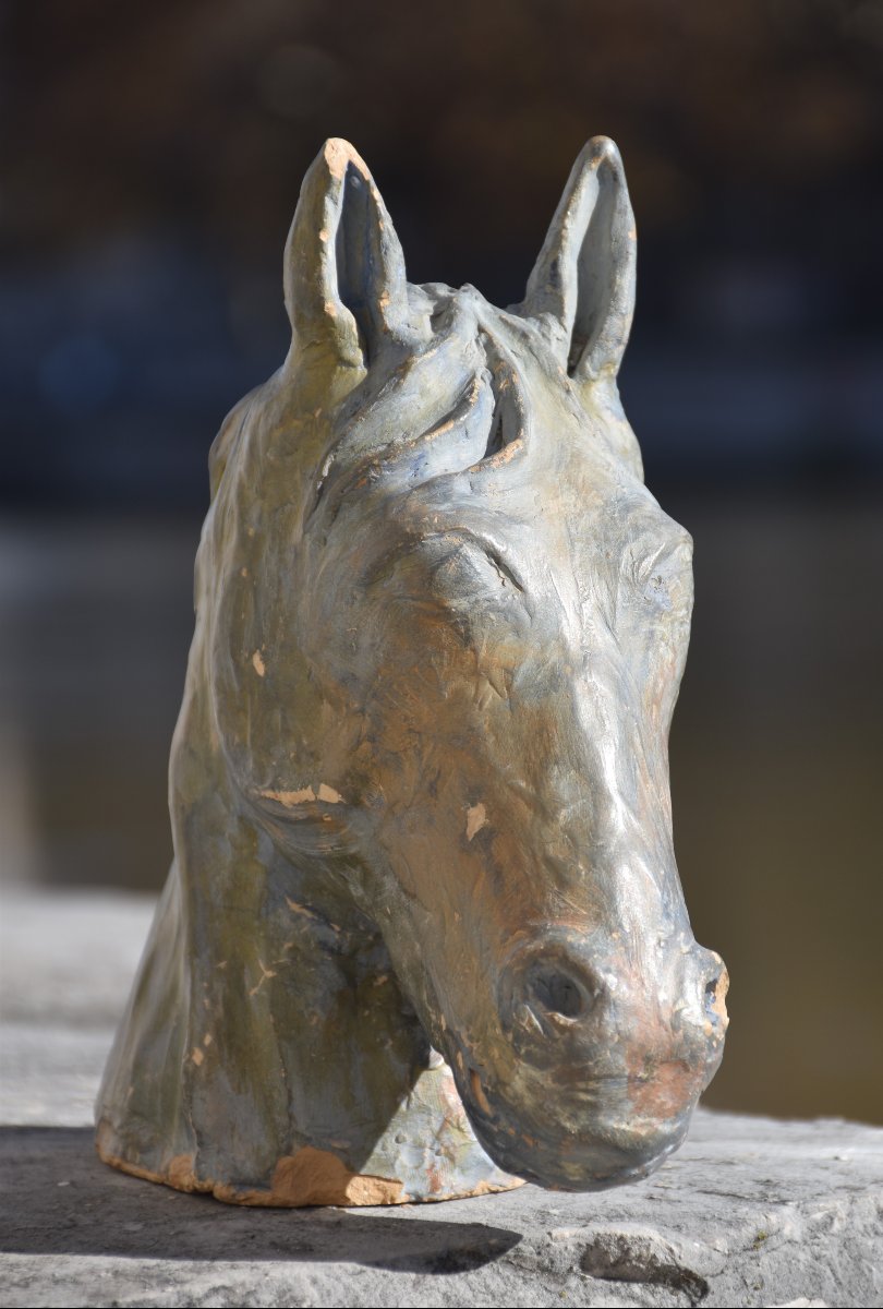 École française, Tête de cheval (vers 1940)-photo-3