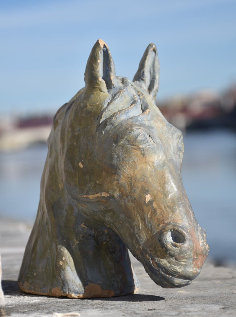 École française, Tête de cheval (vers 1940)-photo-6