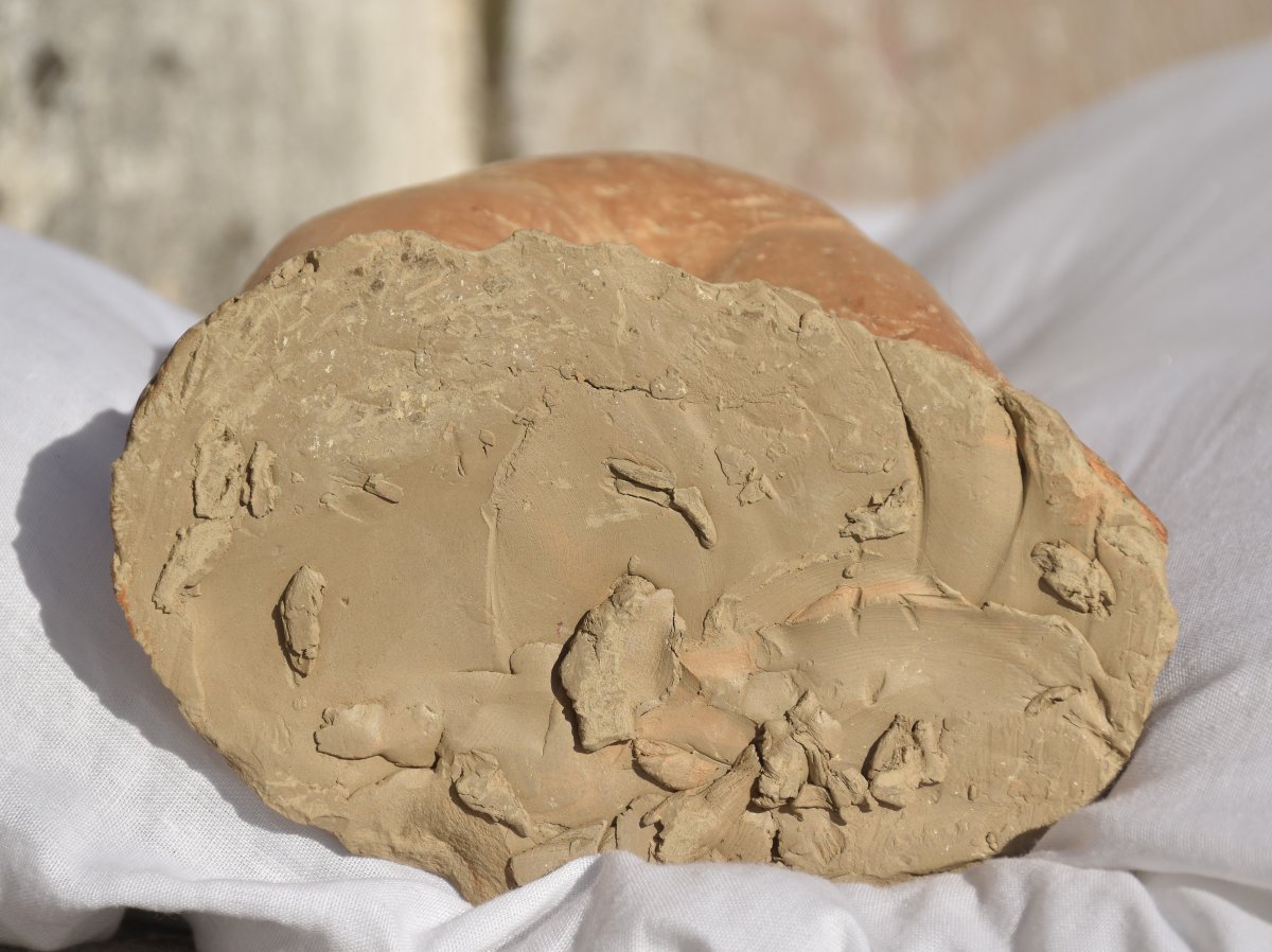 École française, Femme nue (vers 1940)-photo-8