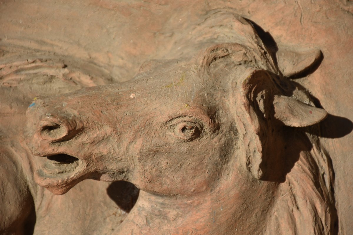 Frédéric Bayet-biot (lyon 1853 – Villeurbanne 1934), Two Horse Heads (circa 1890)-photo-2