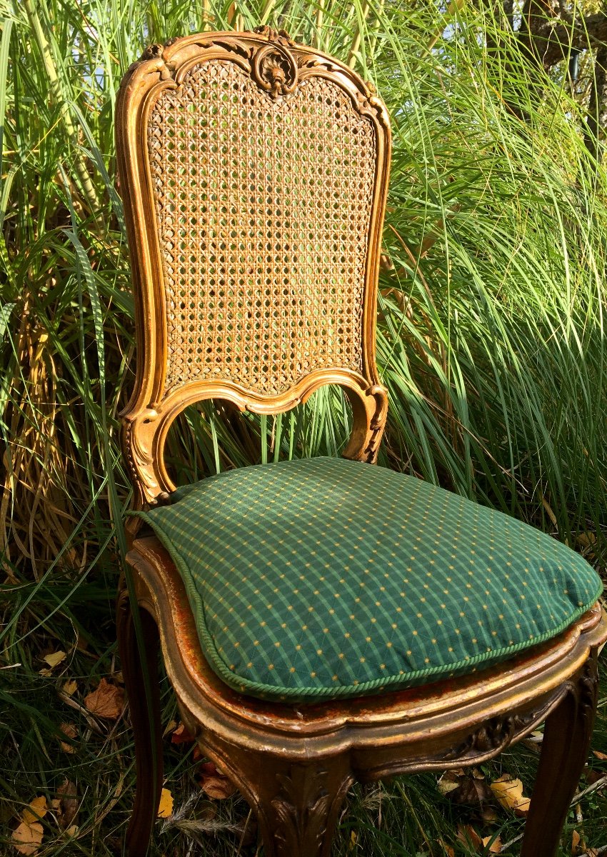 Petite Chaise Cannée En Bois Doré , XIXème 