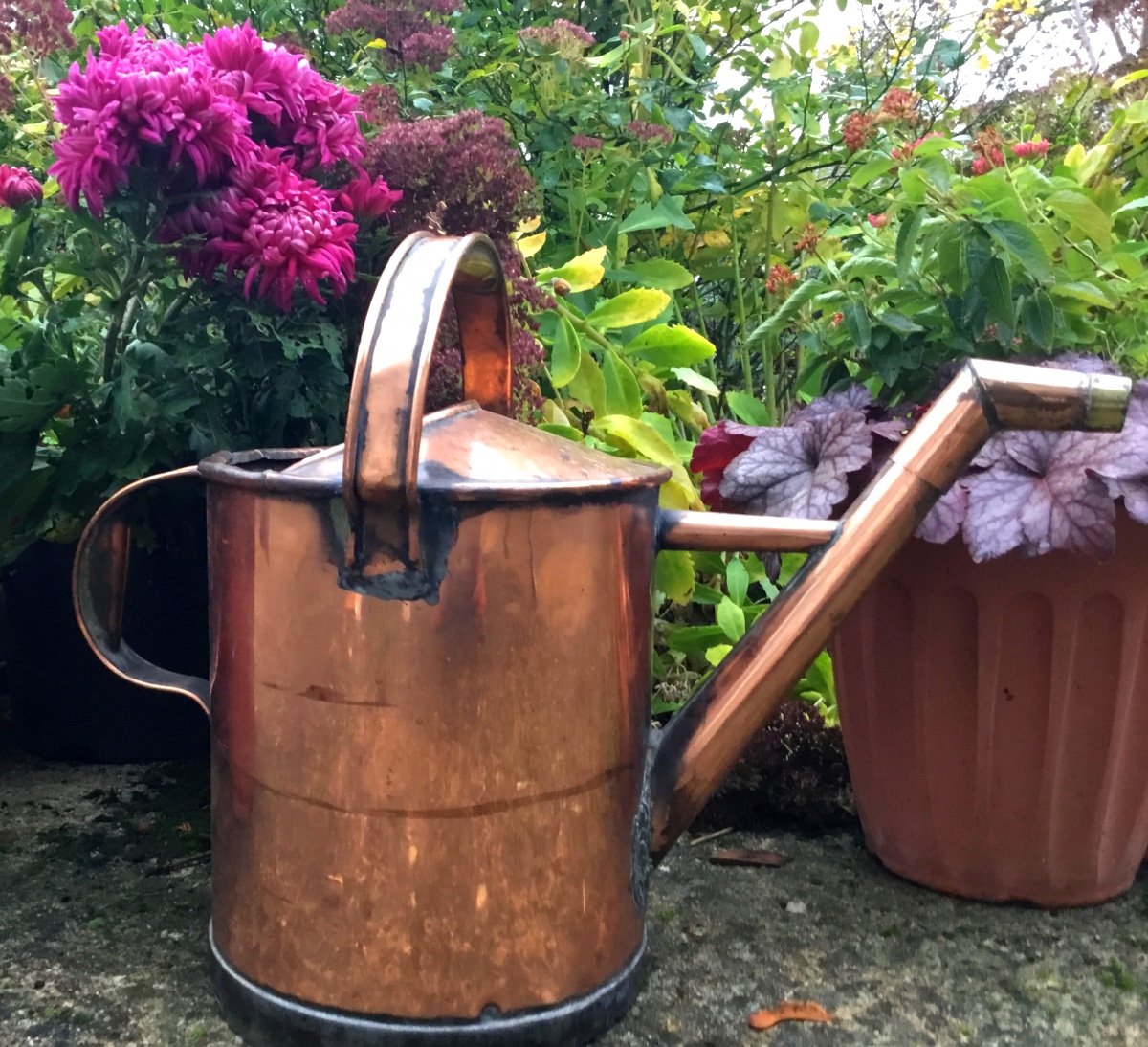 Important Copper Watering Can