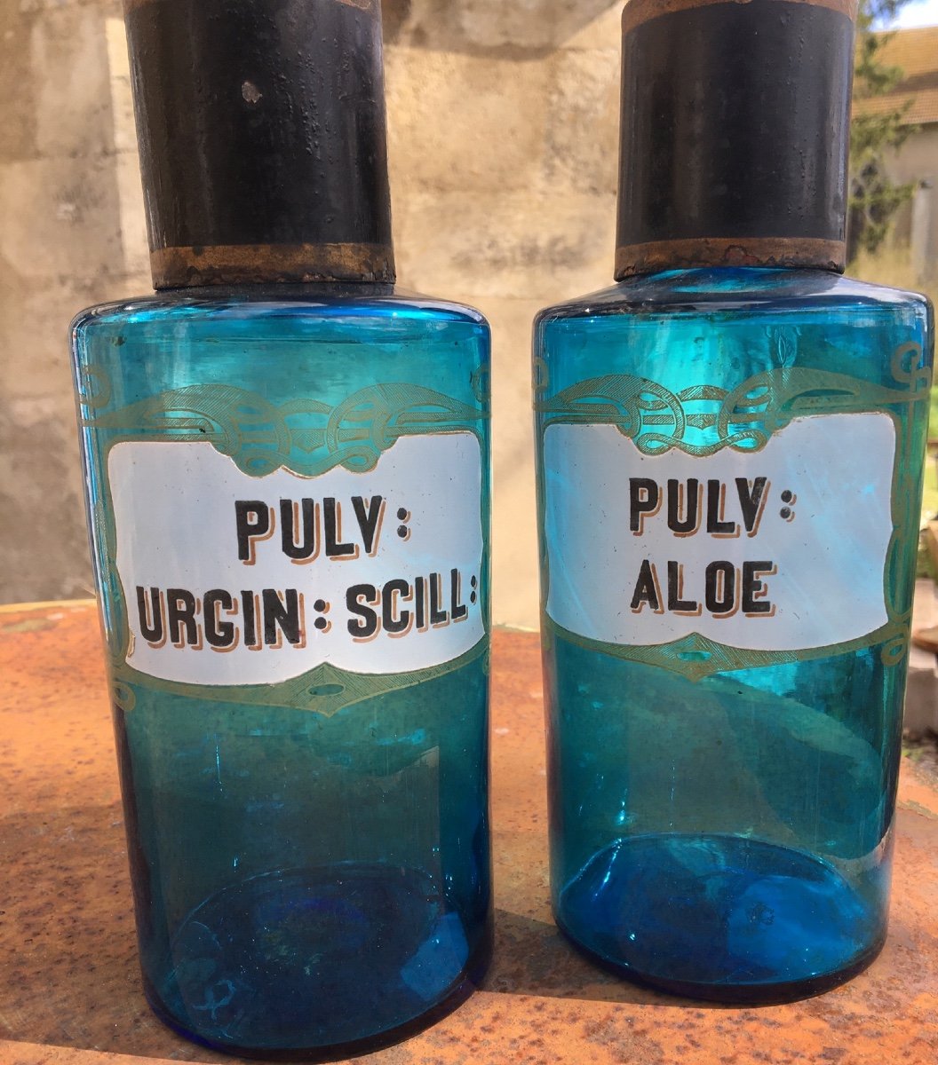 The Two Blue Glass Pharmacy Bottles