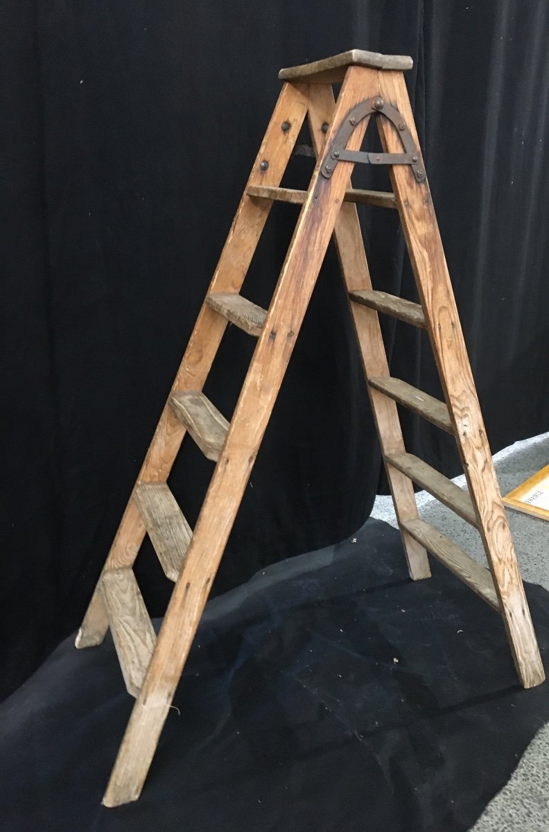 6 Step Workshop Ladder-photo-4