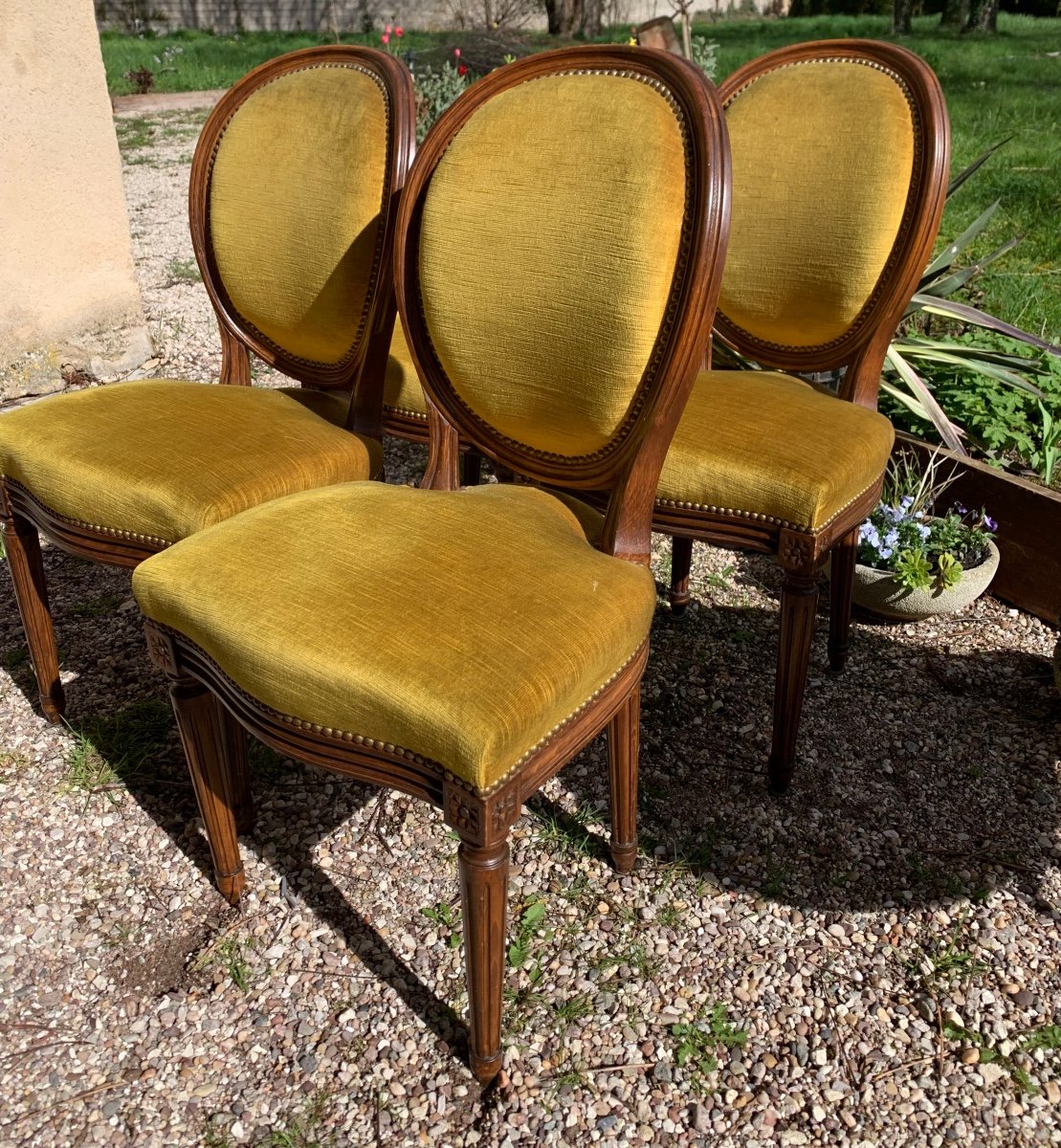 The Suite Of 4 Louis XVI Style Medallion Chairs -photo-4