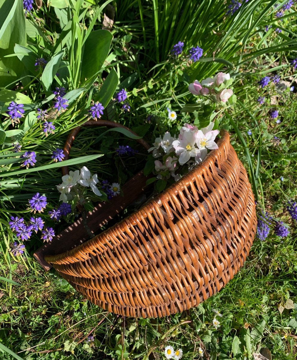 Folk Art, Small Hanging Basket In Woven Wicker-photo-3
