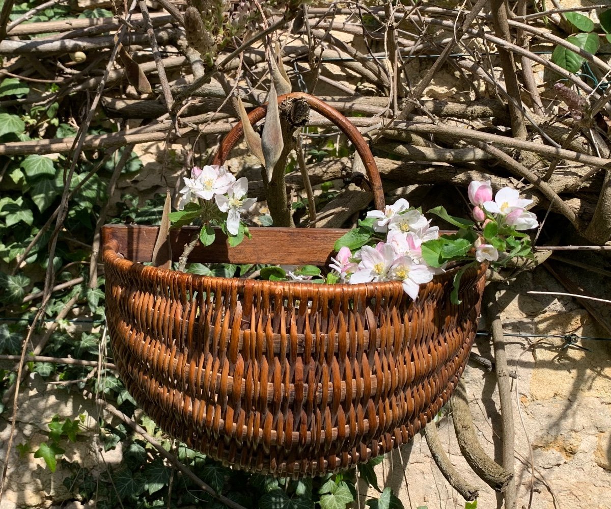 Folk Art, Small Hanging Basket In Woven Wicker-photo-3