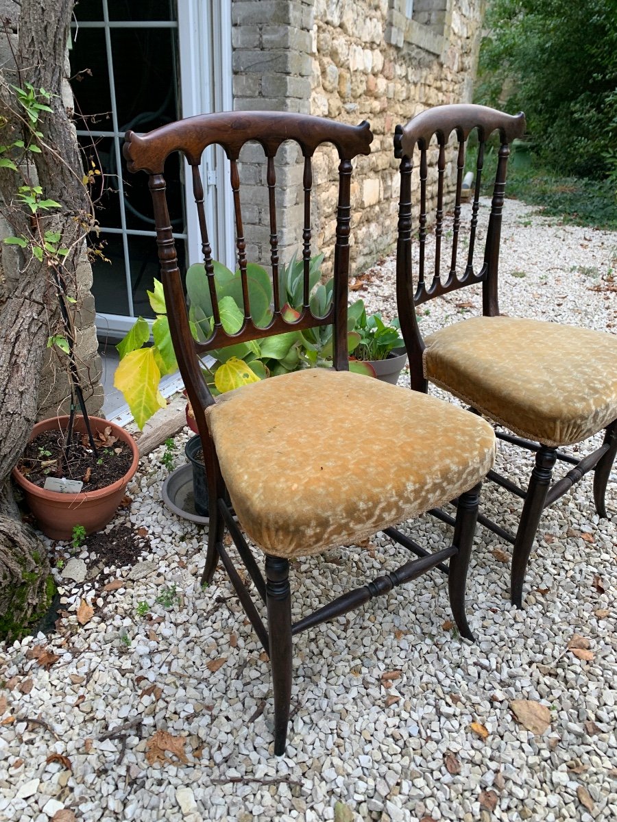 La Paire De Petites Chaises Anglaises En Palissandre -photo-2