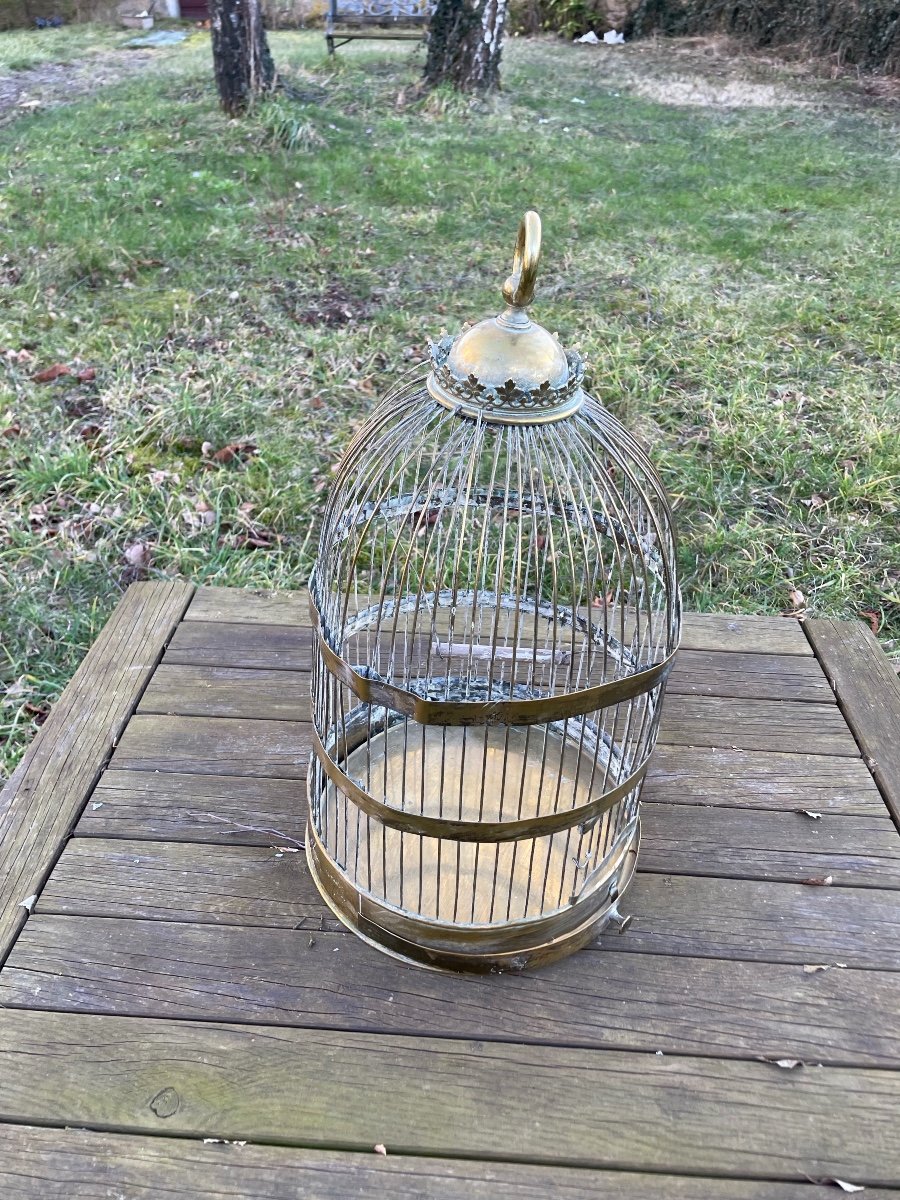 Cage  A Oiseaux En Laiton Doré , Vers 1900-photo-4