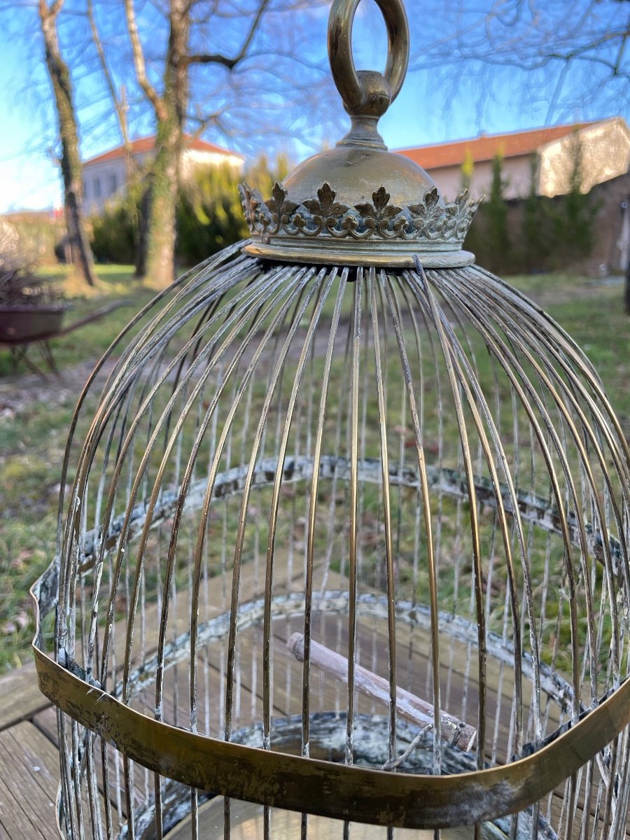 Cage  A Oiseaux En Laiton Doré , Vers 1900-photo-6