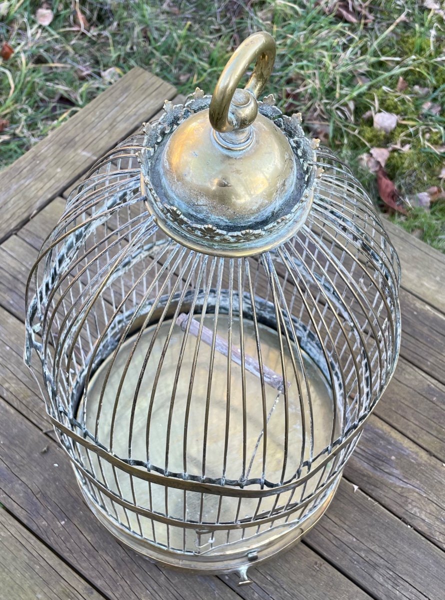 Cage  A Oiseaux En Laiton Doré , Vers 1900-photo-8