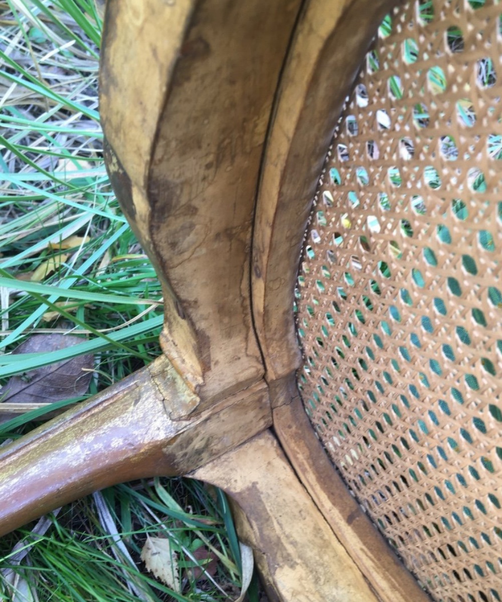 Small Caned Chair In Gilded Wood, 19th Century-photo-8