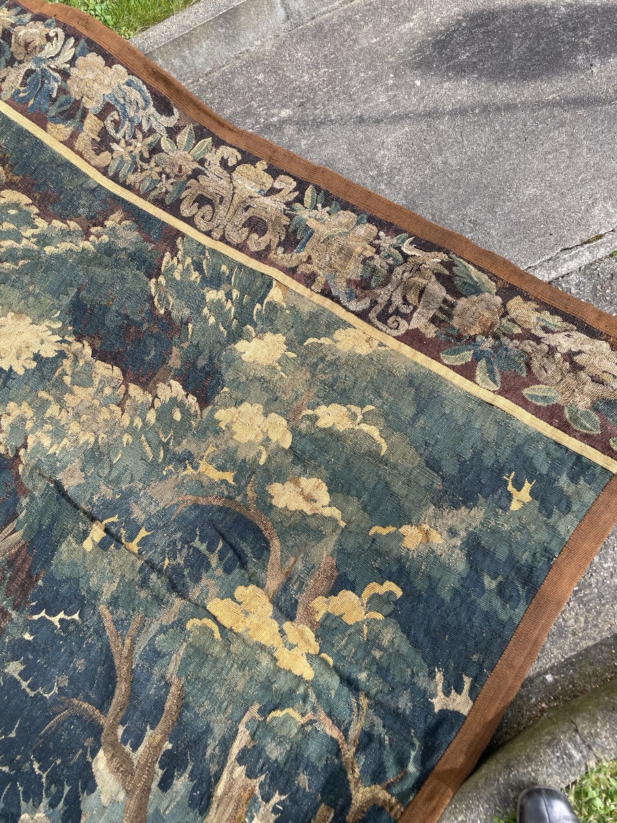 Verdure Aux Aristoloches , Tapisserie d' Aubusson, Fin XVIIe-début XVIIIe-photo-6