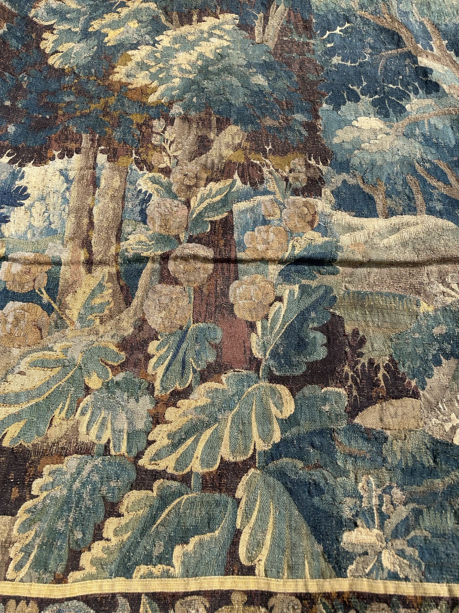 Verdure Aux Aristoloches , Tapisserie d' Aubusson, Fin XVIIe-début XVIIIe