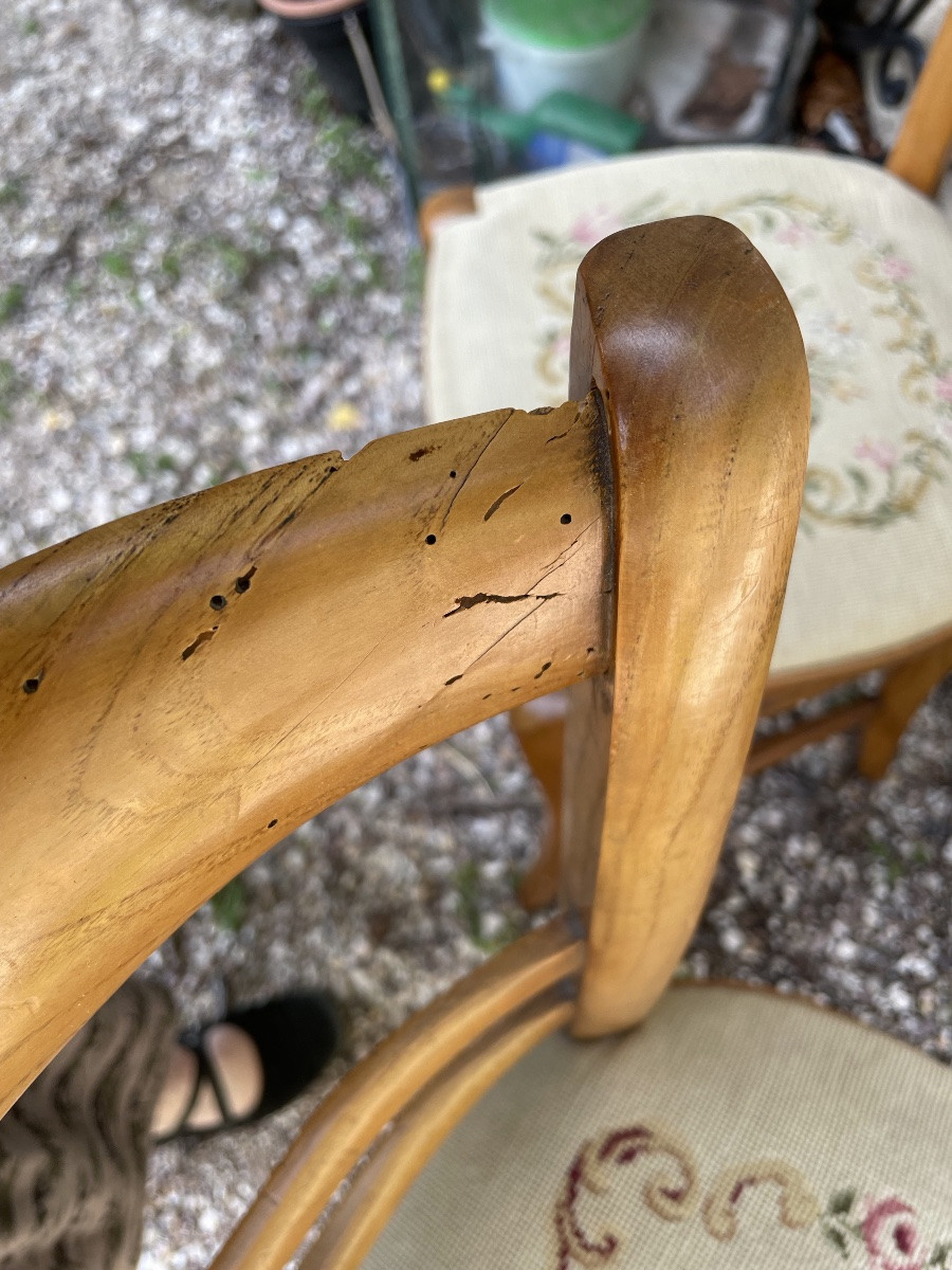 La paire de chaises Napoléon III garnies de tapisseries au point -photo-8