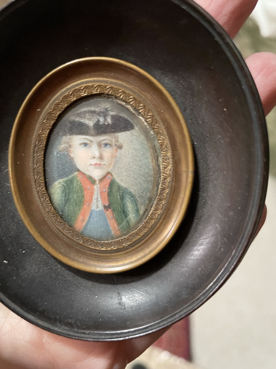 Miniature Little Marquis-photo-2