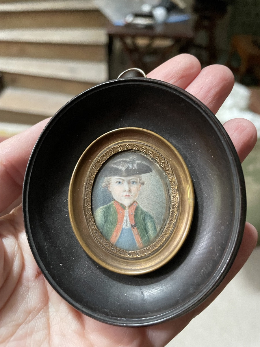 Miniature Little Marquis-photo-4
