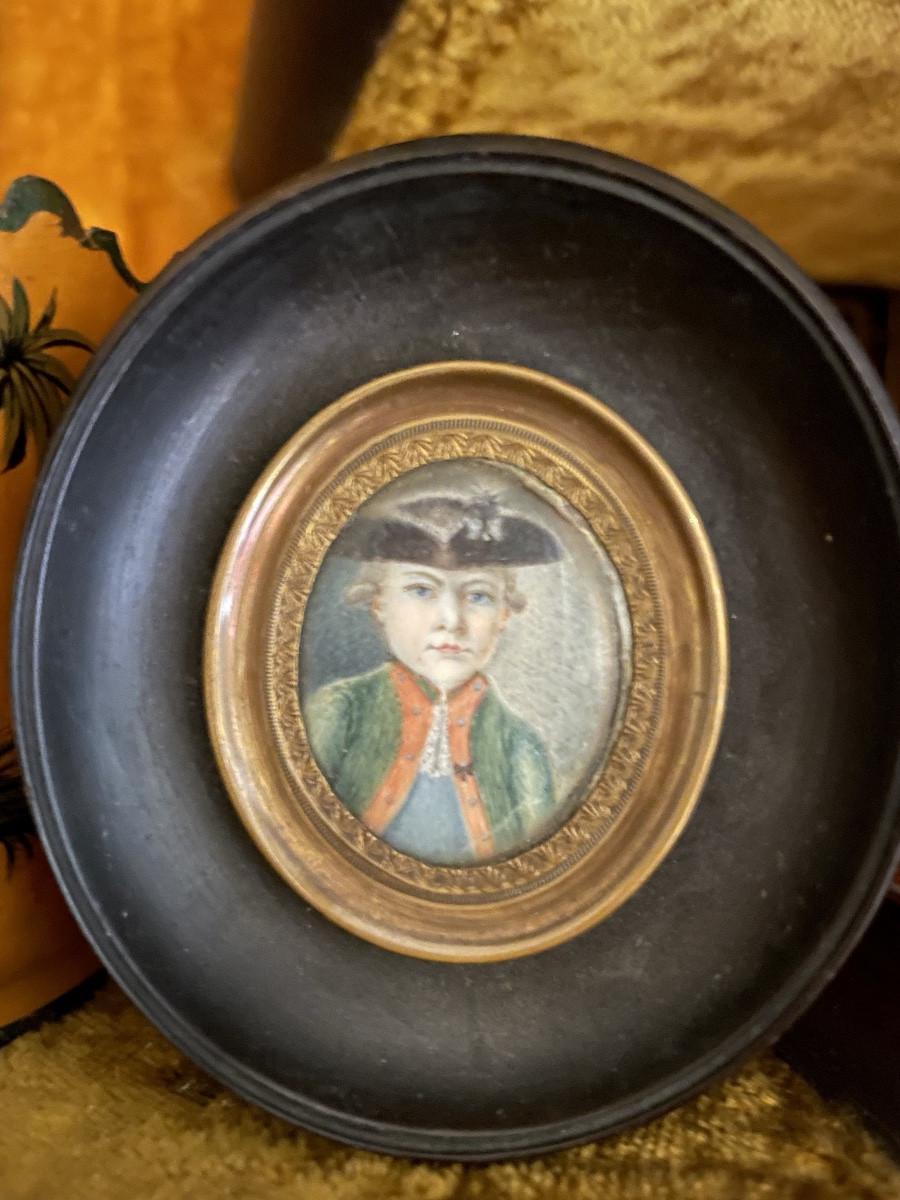 Miniature Little Marquis-photo-7