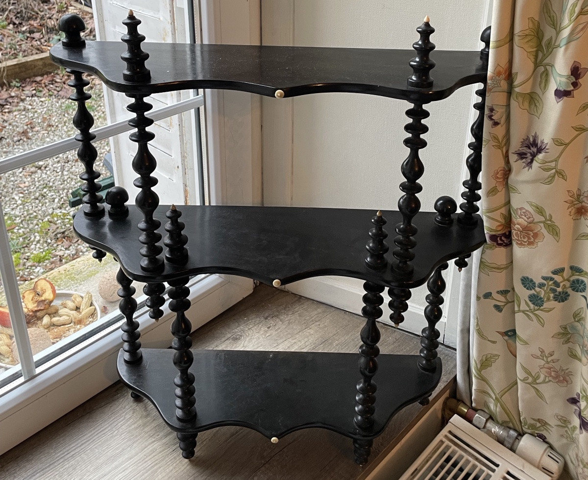 Napoleon III Shelf, Blackened Wood And Bone -photo-2