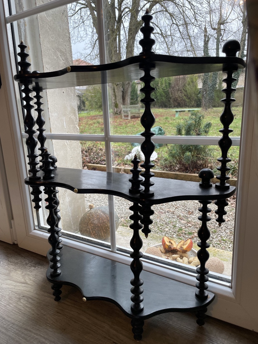 Napoleon III Shelf, Blackened Wood And Bone -photo-2