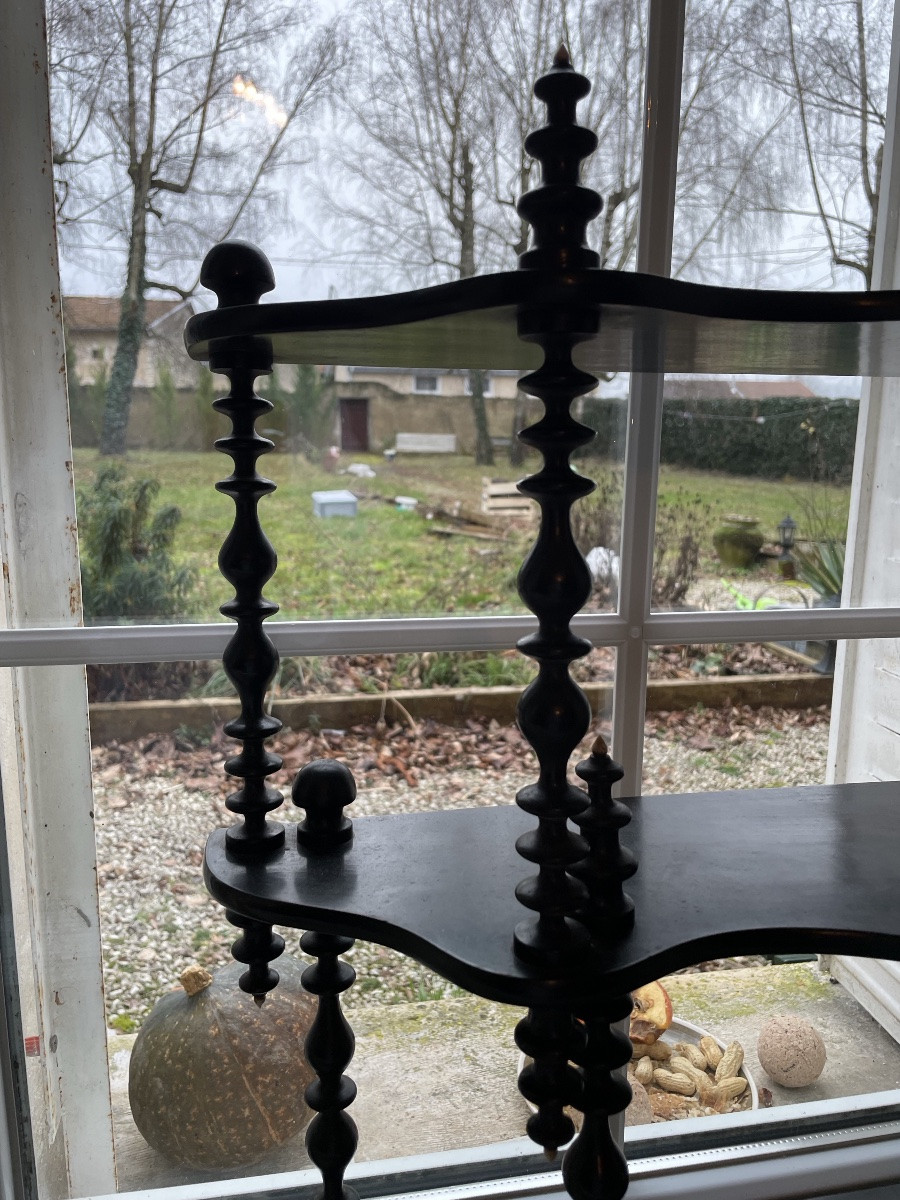 Napoleon III Shelf, Blackened Wood And Bone -photo-4