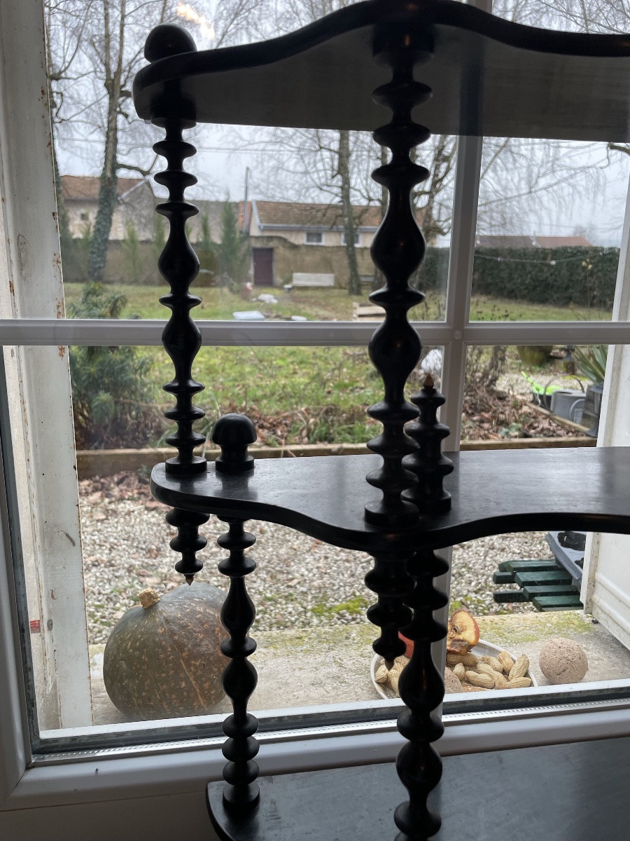 Napoleon III Shelf, Blackened Wood And Bone -photo-5