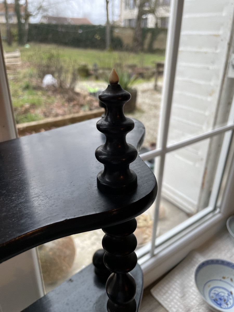 Napoleon III Shelf, Blackened Wood And Bone -photo-6