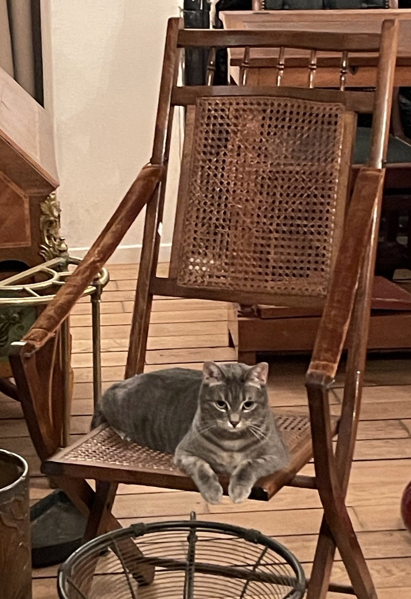 Chaise pliante de style colonial en bambou -photo-6