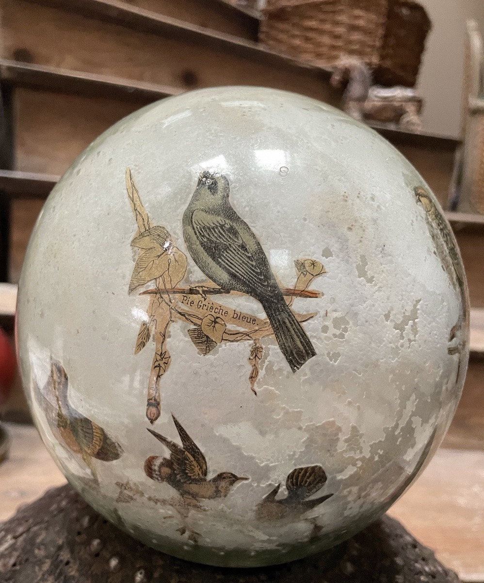 XIXth Century Bowl With Perruce Decorated With Birds In Glass Eglomise-photo-3