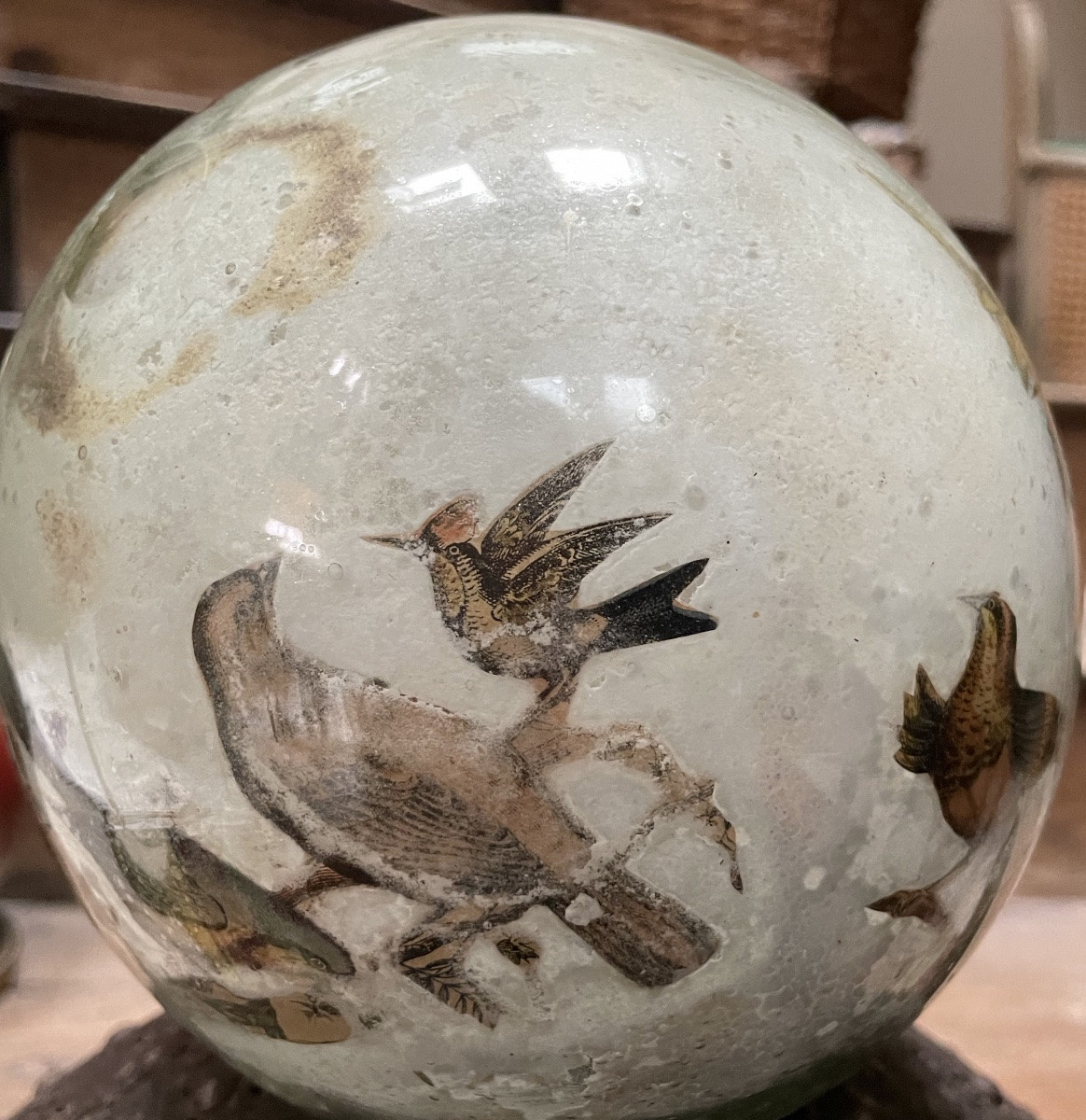 XIXth Century Bowl With Perruce Decorated With Birds In Glass Eglomise-photo-4