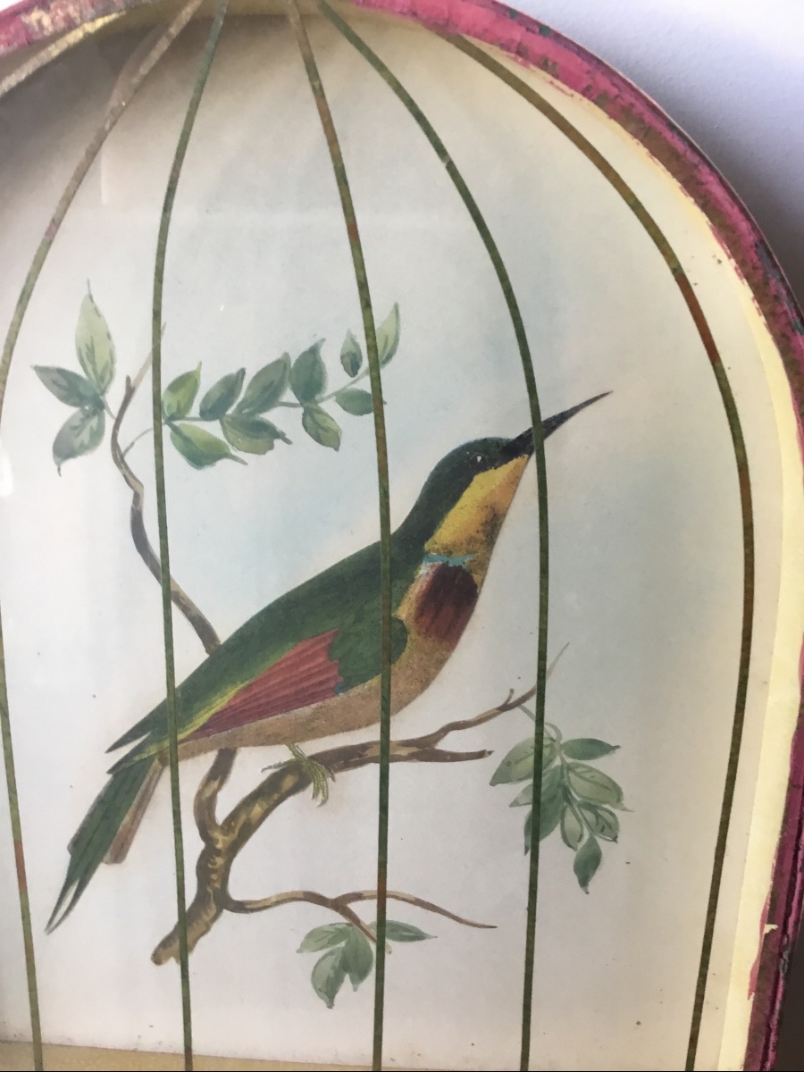 Trompe-l'oeil Birdcage-photo-3